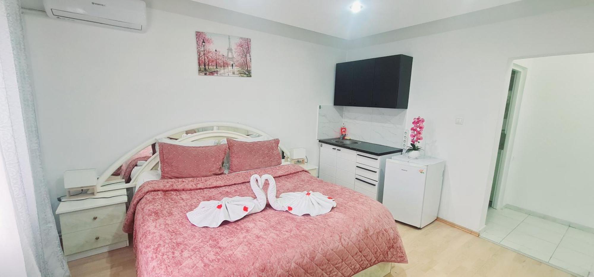 Pensiunea Red Rose Apartments Timişoara Exterior foto
